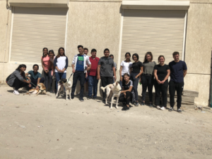 Read more about the article Visits to the Animal Shelter