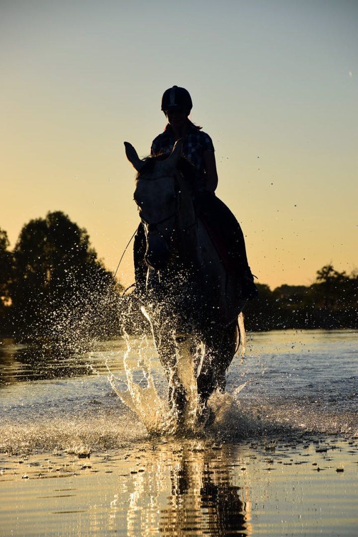 You are currently viewing February’s Club of the Month: Horse Riding Club