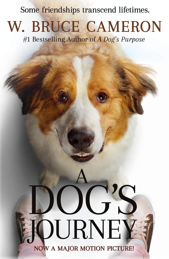 A Dog’s Journey Movie Review The Print