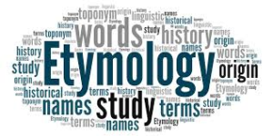 Read more about the article Etymology: Another Surprisingly Interesting Topic