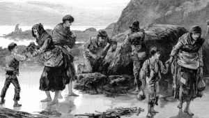 Read more about the article The Great Famine