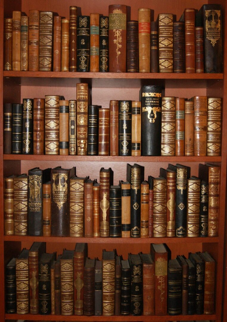 You are currently viewing Once Upon A Wish