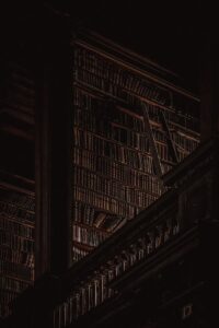 Read more about the article Whispers Beneath the Library