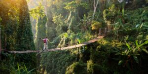 Read more about the article The Gilded Mire